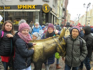 Osiołek w Toruniu
