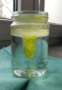 20170403 104922-1