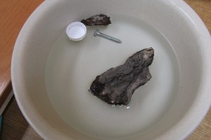 DSCF6522