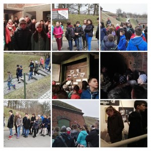 IMG 20170317 112113-COLLAGE web
