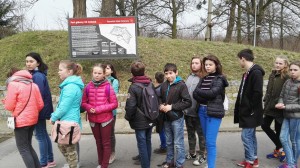 IMG 20170317 112113 web