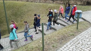 IMG 20170317 120926 web