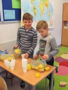 IMG 2113 web