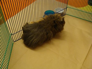 DSC03155 