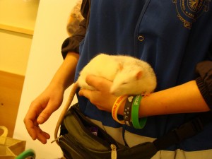 DSC03157 