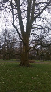IMAG0217 web