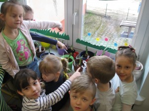 wiosennie 2017 007