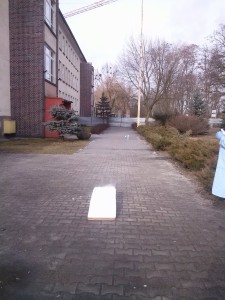 CAM01984