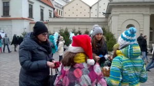 WP_20151212_13_28_18_Pro