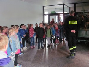 IMG 3068