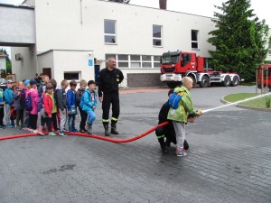 IMG 3090