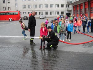 IMG 3095