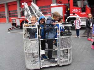 IMG 3097