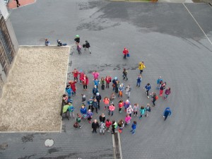IMG 3099