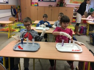 IMG 1551