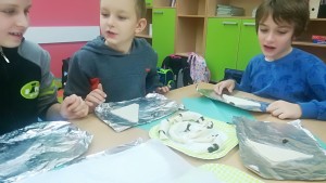 IMG 20171110 081538