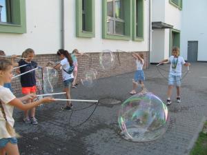 IMG 3579
