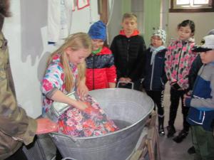 IMG 3547