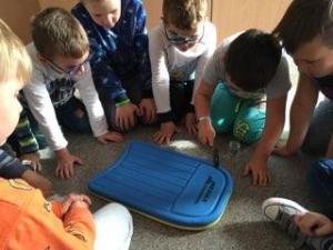 IMG 1686