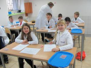 IMG 3784