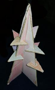 bak1