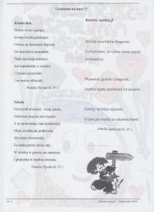 strona 0004