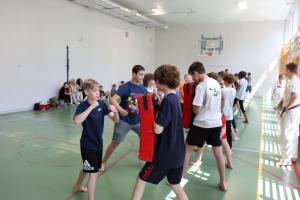 IMG 0466
