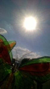 WP 20160903 15 33 40 Pro