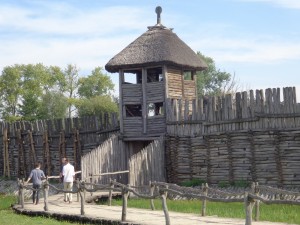 DSC08190
