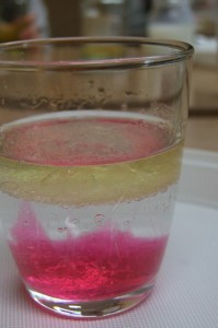 DSCF4543