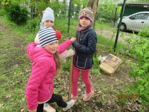 IMG_0068