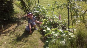 2016-06-03-1015
