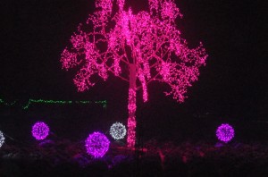 DSCF4092