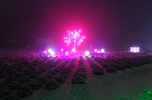 DSCF4106