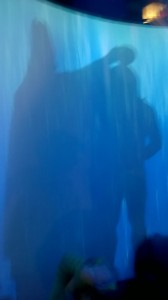 WP_20160406_12_22_03_Pro