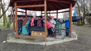 IMG_20160304_122644489