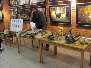 IMG_0873