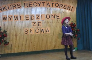 DSCF3763
